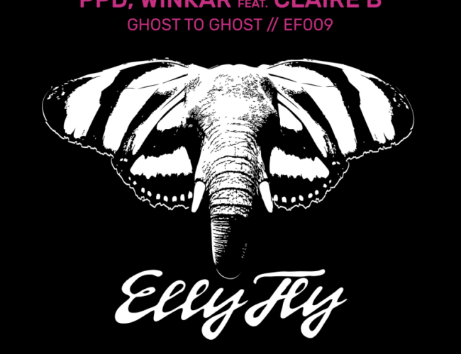 Introspectiva, atmosférica e orgânica: ouça Ghost to Ghost, nova música da Elly Fly