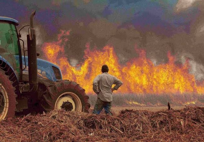 Queimadas que deixam quase 50 cidades paulistas em alerta atingiu festival Anacã no fim de semana